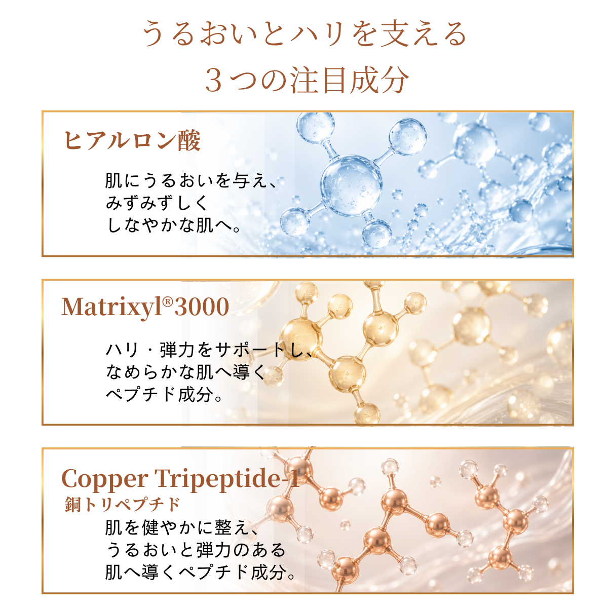 エクセラリスプロ HAトリート