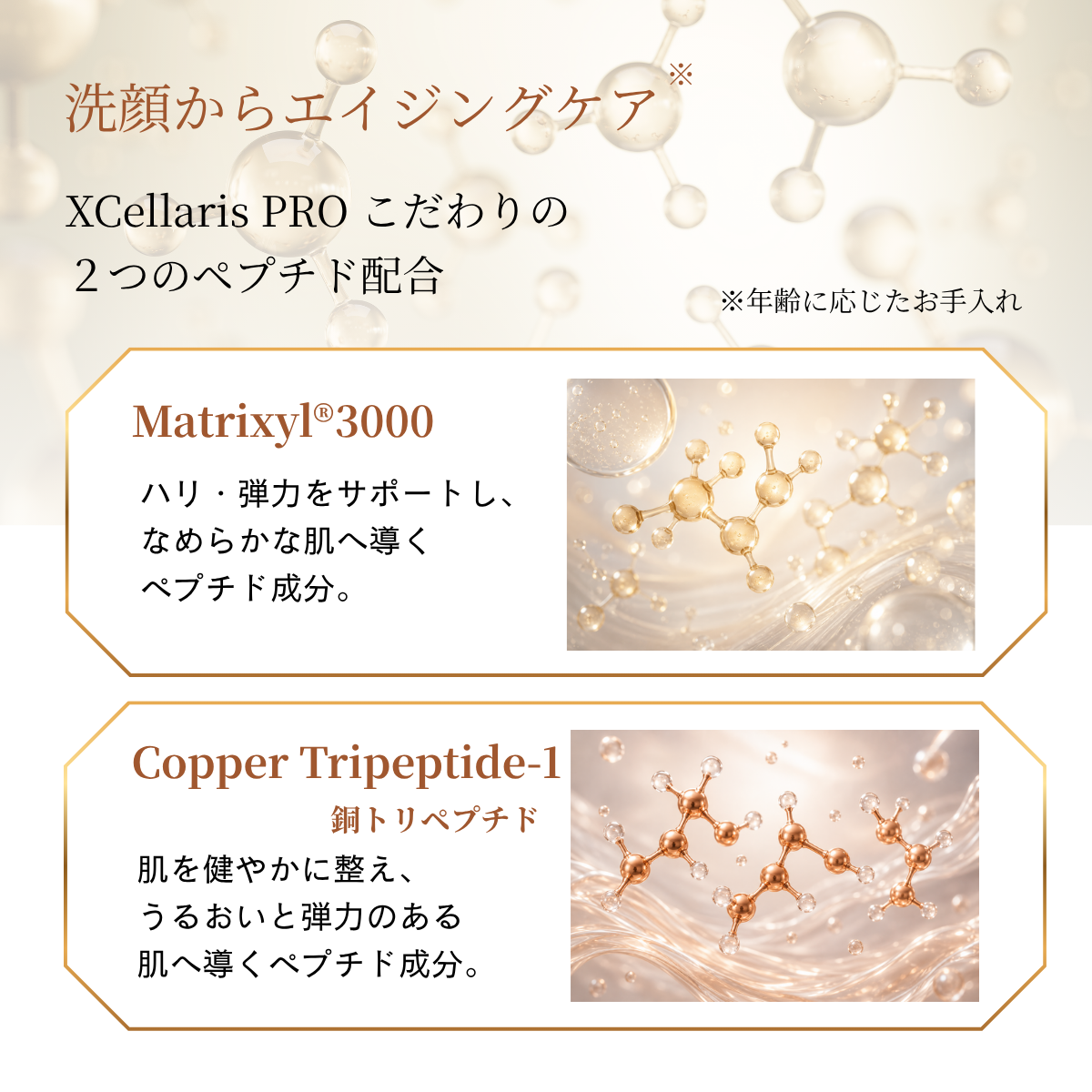 エクセラリスプロ ディープクレンザー