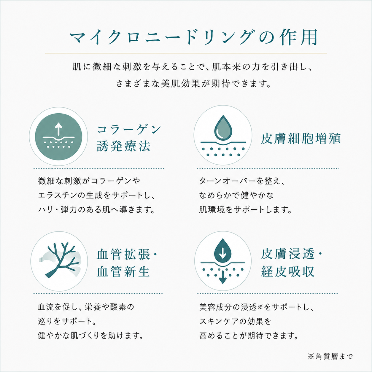 単品】ダーマローラー® – Dermaroller Japan